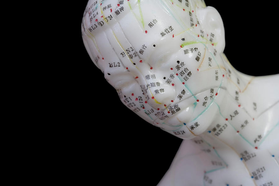 Human Model Showing Acupuncture Points Photograph by Science Stock ...