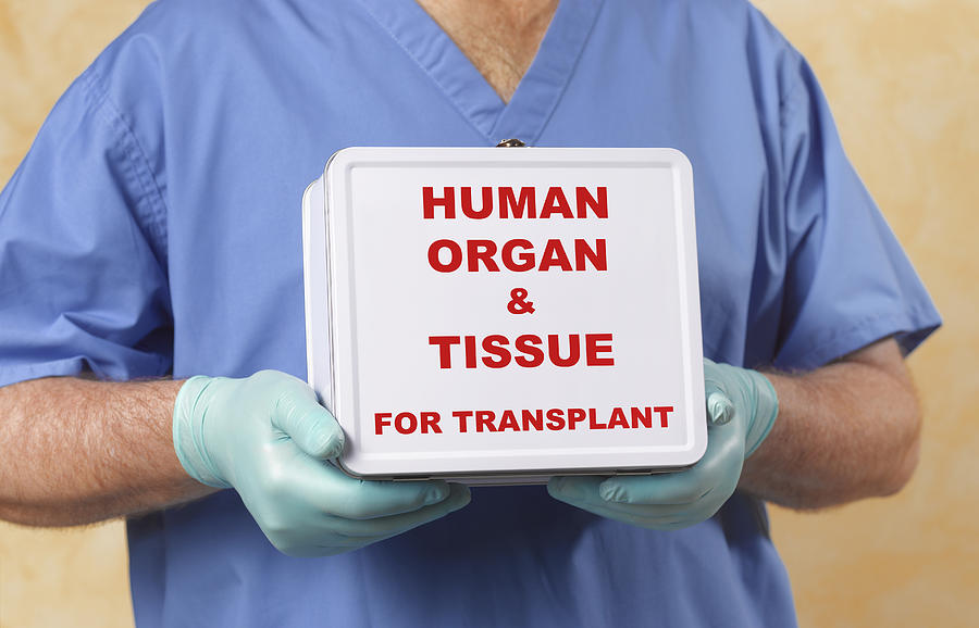 Human organ and tissue transplant Photograph by Peter Dazeley