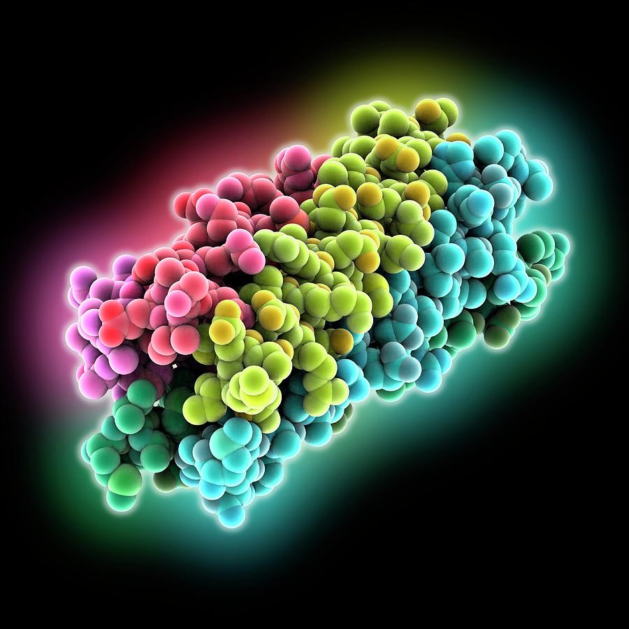 Biochemical Photograph - Human Rotavirus Enterotoxin by Laguna Design