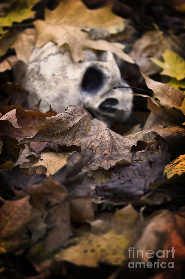 Skull Photograph - Human Skull Beneath Autumn Leaves by Lee Avison Skull Photograph - Human Skull Beneath Autumn Leaves by Lee Avison