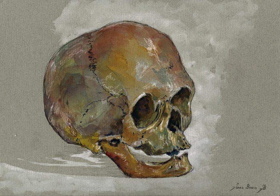 Skull Painting - Human Skull study by Juan  Bosco