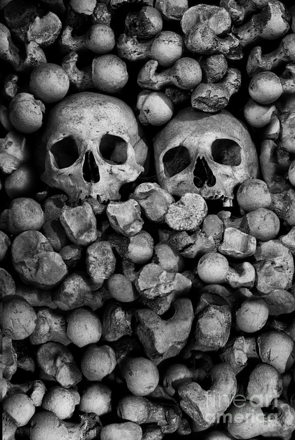 Human skulls and bones in black and white Photograph by Jaroslaw Blaminsky