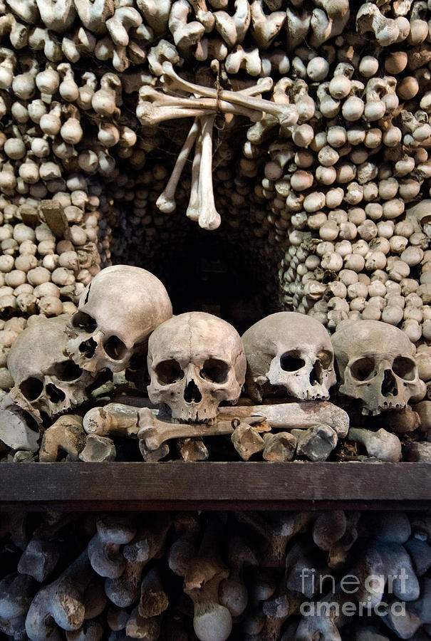 Human skulls and wall made out of bones Photograph by Jaroslaw Blaminsky