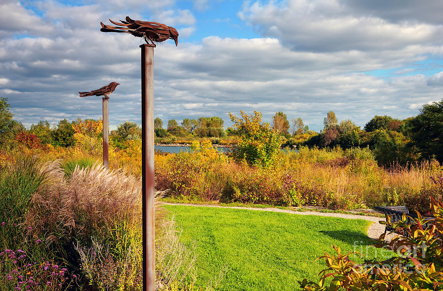 Humber Bay Garden Photograph by Charline Xia