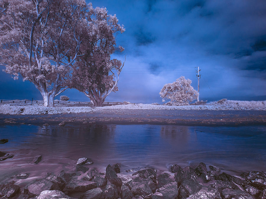 Humboldt Bay Infrared Photograph by Greg Nyquist
