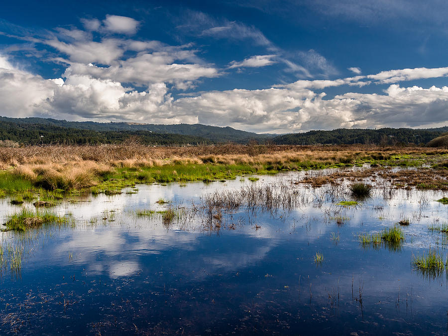 Humboldt Marshes in Spring Photograph by Greg Nyquist