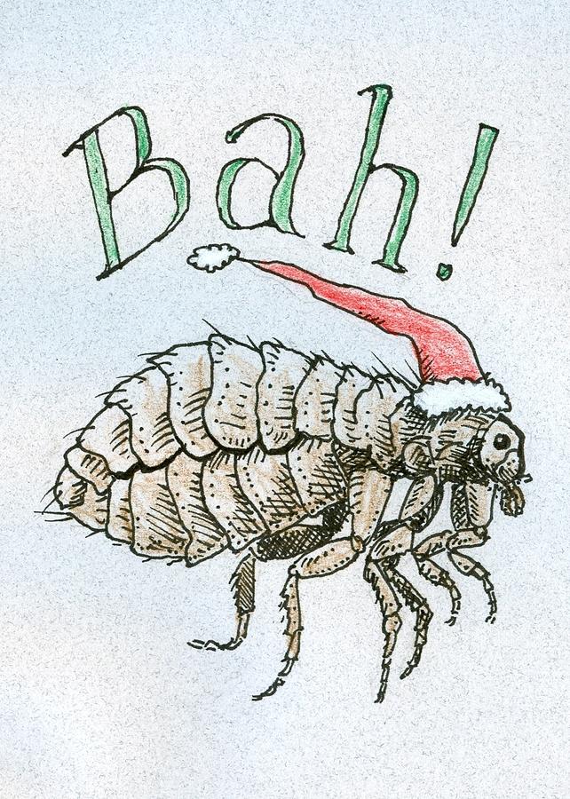 Christmas Drawing - Humbug Christmas by Ralf Schulze