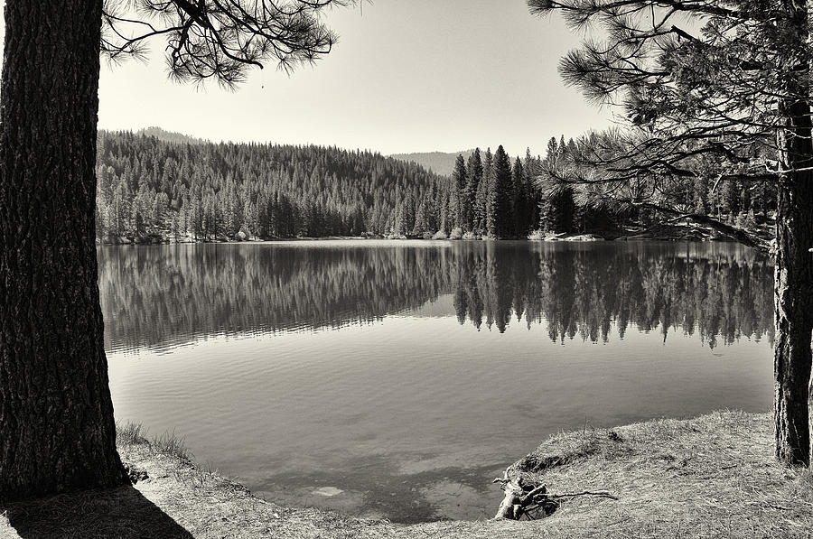 Hume Lake Bw - Kings Canyon National Park - California Photograph