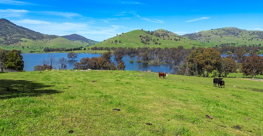 Hume Wier - Tallangatta Valley Photograph by Mark Lucey