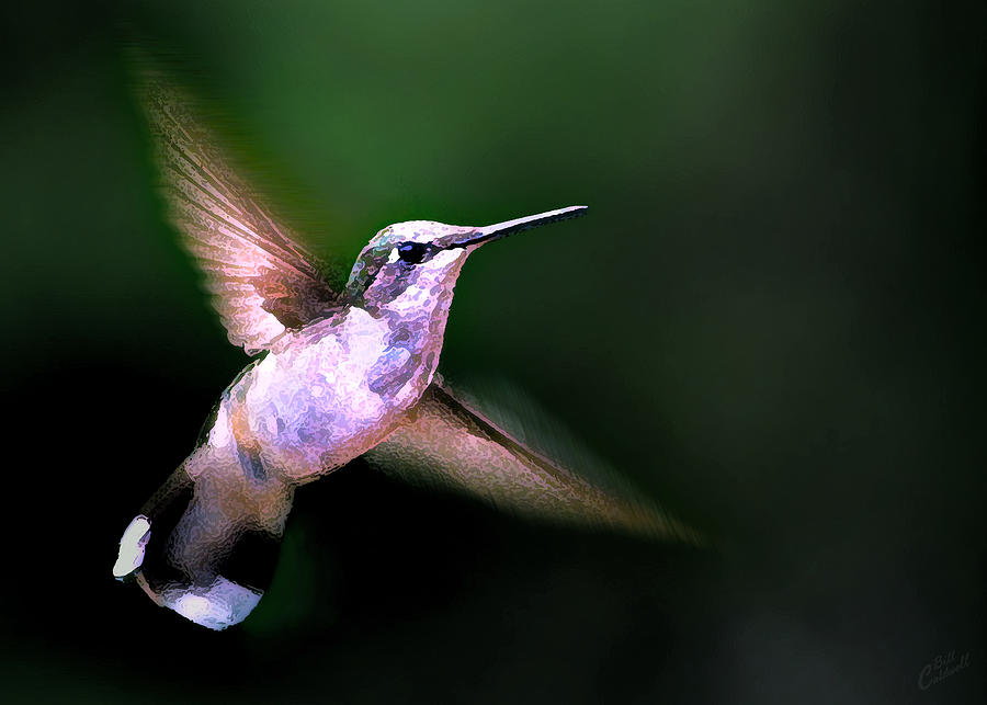 Hummer Ballet 1 Photograph by ABeautifulSky Photography by Bill Caldwell