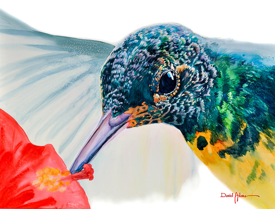Bird Painting -  Hummer Face Daniel Adams  by Daniel Adams