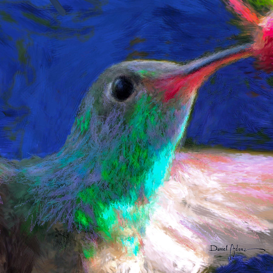 Da197 Hummerbird Closeup by Daniel Adams Painting by Daniel Adams