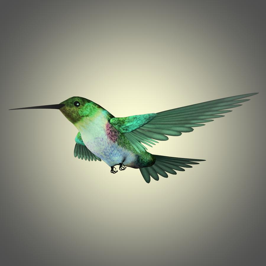 Humming Bird 1 Painting by Movie Poster Prints