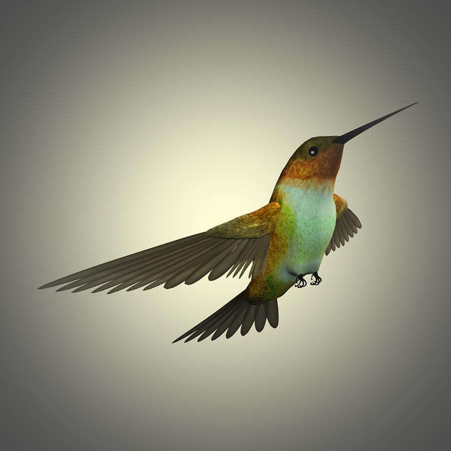 Humming Bird 2 Painting by Movie Poster Prints