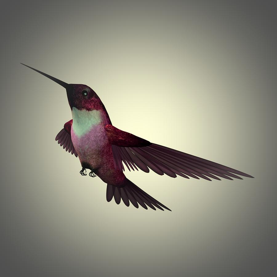 Humming Bird 4 Painting by Movie Poster Prints
