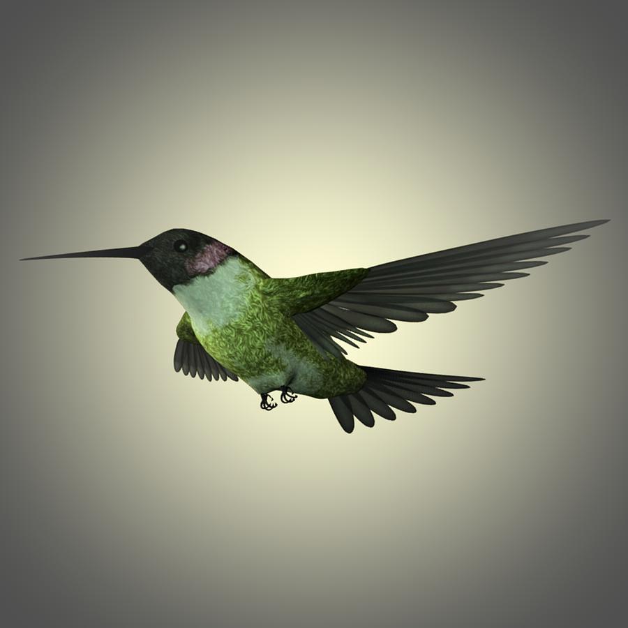 Humming Bird 5 Painting by Movie Poster Prints