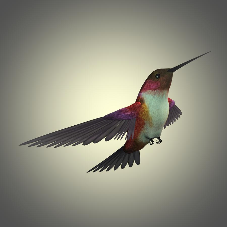 Humming Bird 6 Painting by Movie Poster Prints