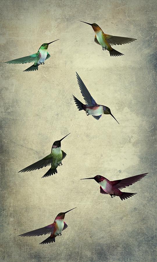 Humming Bird Textured Art  Digital Art by Movie Poster Prints