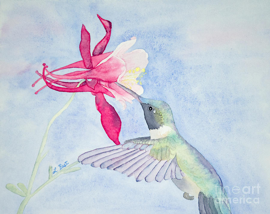 Hummingbird and Columbine Painting by Laurel Best