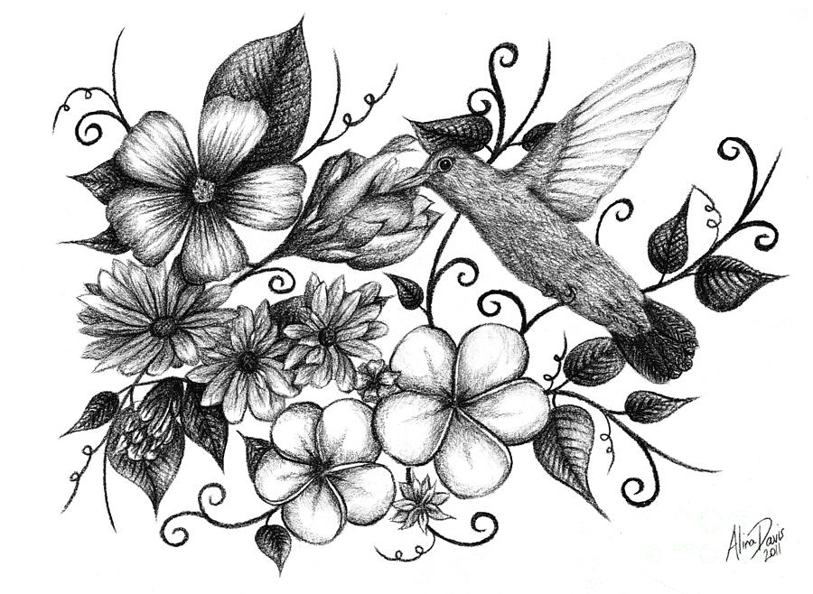 Hummingbird and Floral Sketch Drawing by Alina Nash Pixels