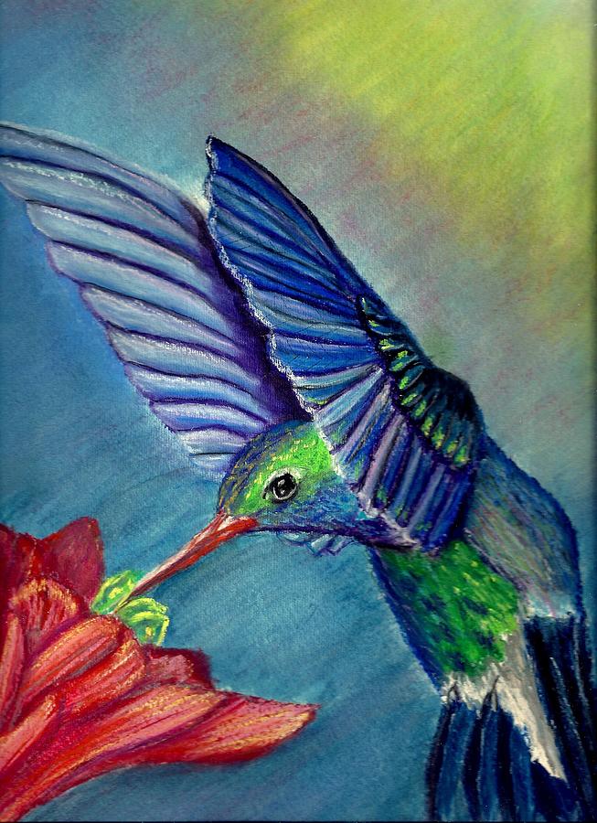 Hummingbird Painting - Hummingbird and Flower by Jay Johnston