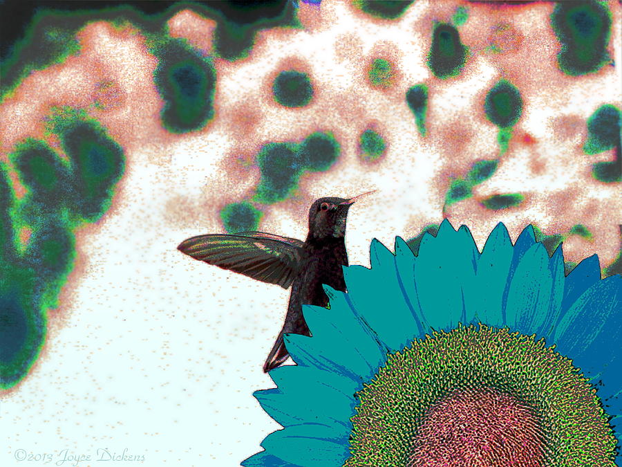 Hummingbird and Sunflower Photograph by Joyce Dickens