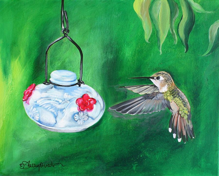 Hummingbird and The Feeder Painting by Shelley Overton