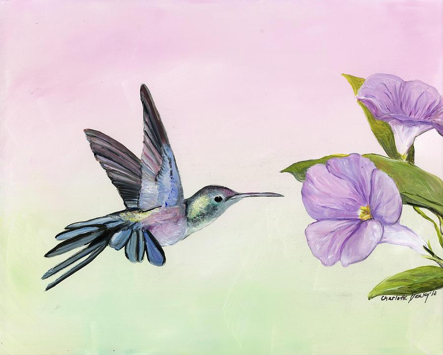 Hummingbird at Morning Glory Painting by Charlotte Yealey