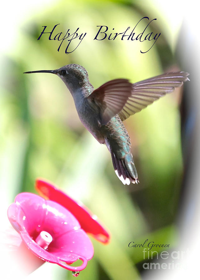 Hummingbird Birthday Card Photograph by Carol Groenen