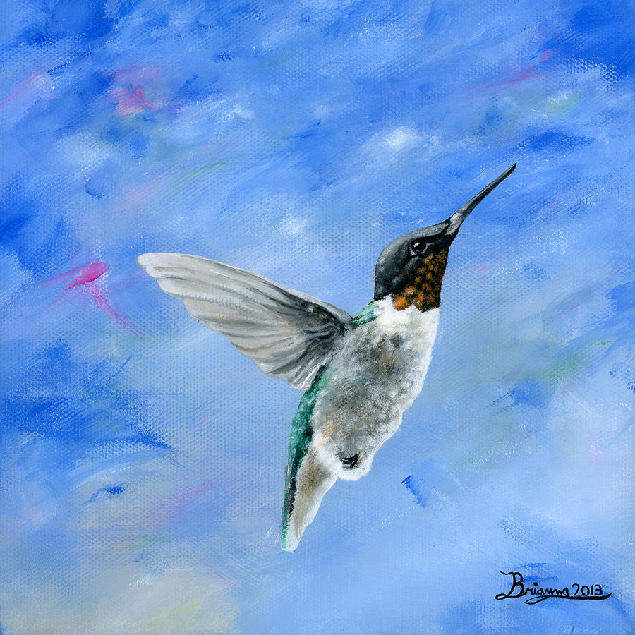 Hummingbird Painting - Hummingbird Blues by Brianna Mulvale