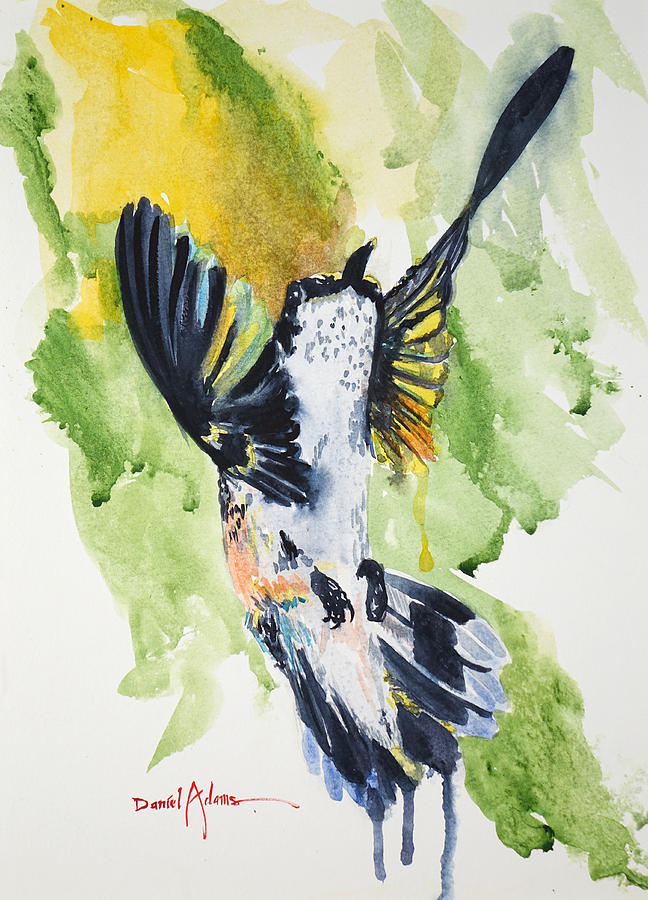  DA164 Hummingbird Brazil by Daniel Adams Painting by Daniel Adams