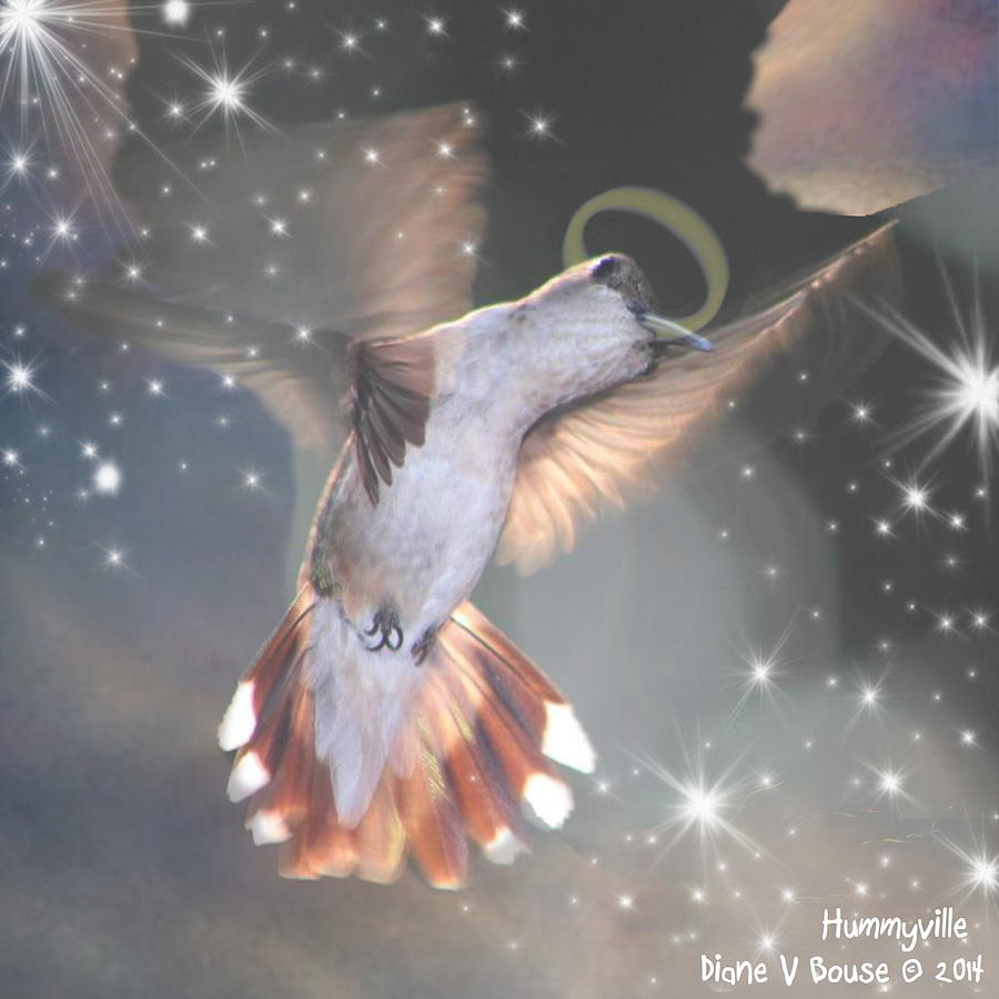 Hummingbird Digital Art - Hummingbird Christmas Angel by Diane V Bouse