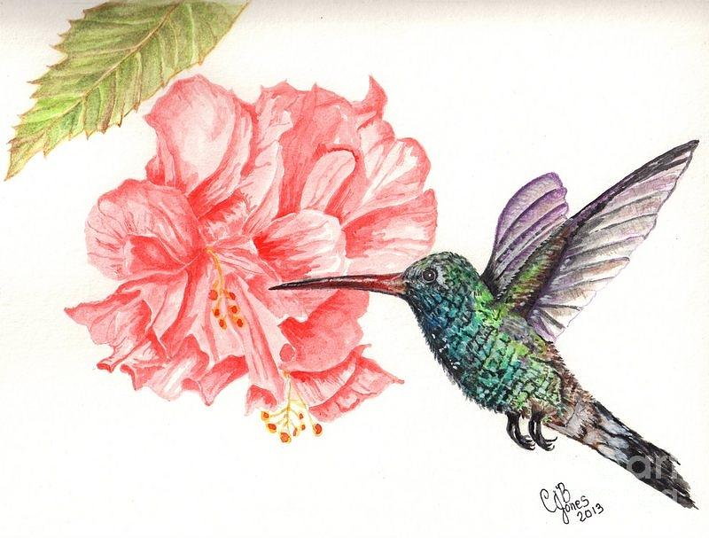 Hummingbird Painting - Hummingbird Dining by Chris Bajon Jones