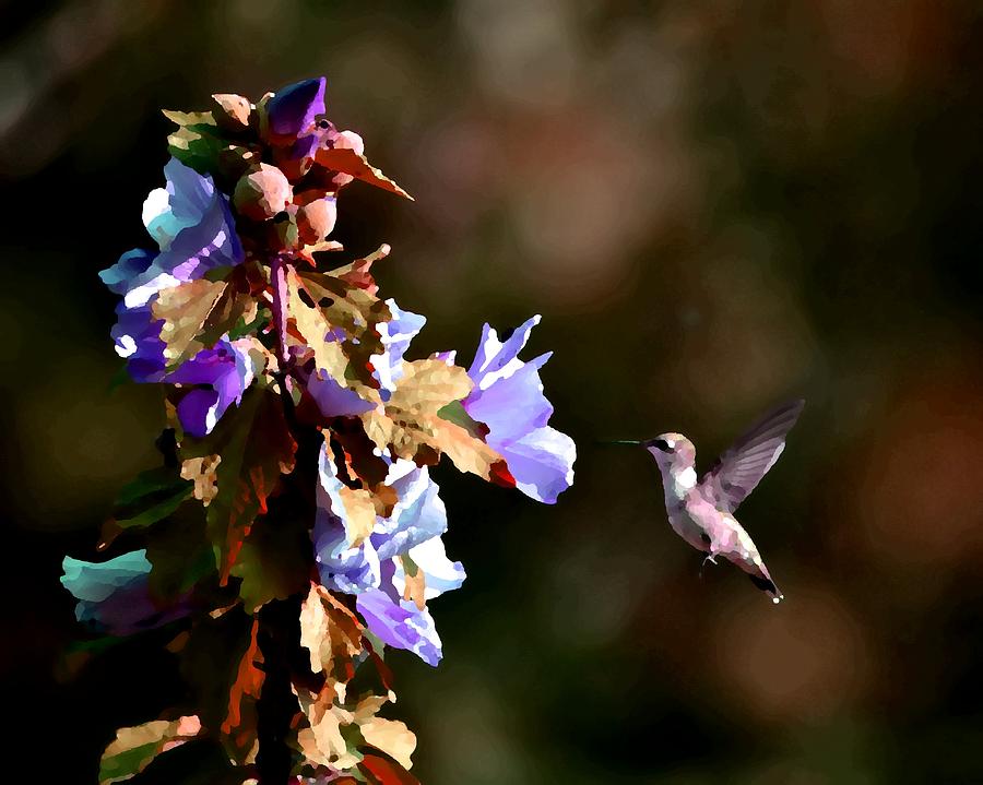 Hummingbird II Photograph by Deena Stoddard