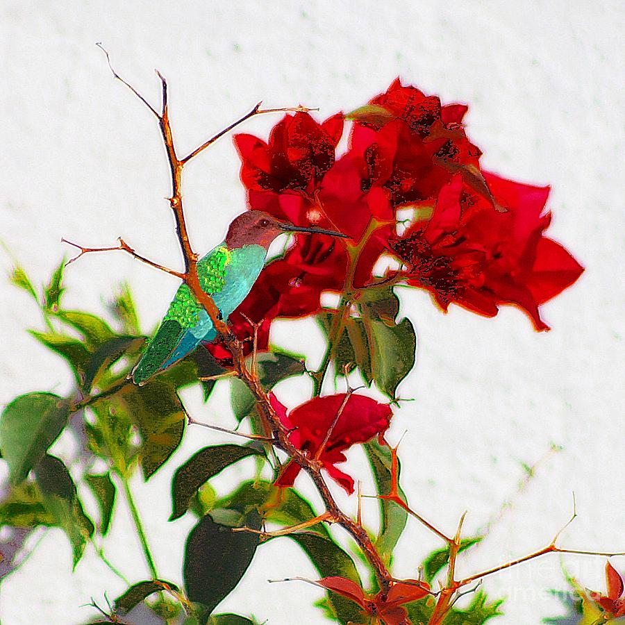 Hummingbird In Bugambillia Photograph by John  Kolenberg