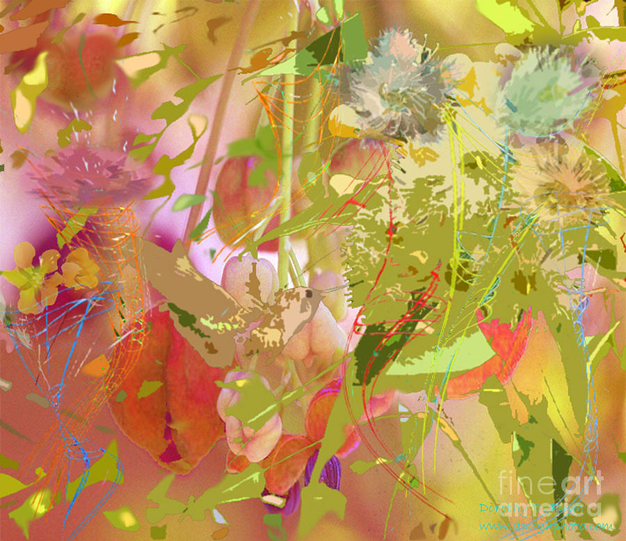 Hummingbird Digital Art - Hummingbird Jazz by Dorothy  Pugh