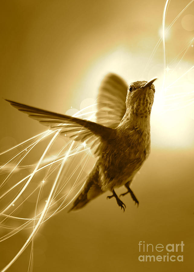 Hummingbird Magic - Sepia Photograph by Carol Groenen