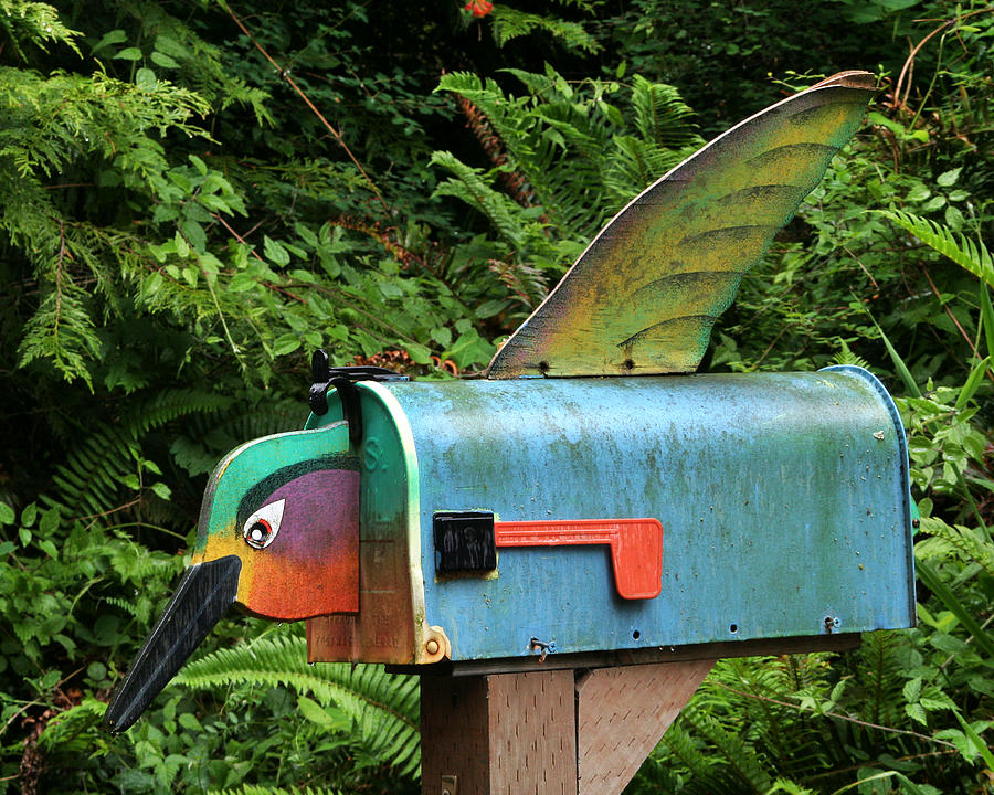 Hummingbird Mailbox Photograph by Art Block Collections