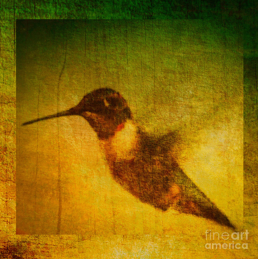 Wildlife Photograph - Hummingbird Melody by Eva Thomas