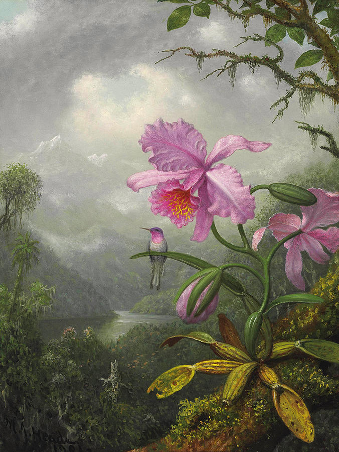 Hummingbird Perched on the Orchid Plant Painting by Martin Johnson Heade