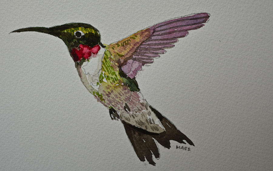 Hummingbird  Painting by Walt Maes