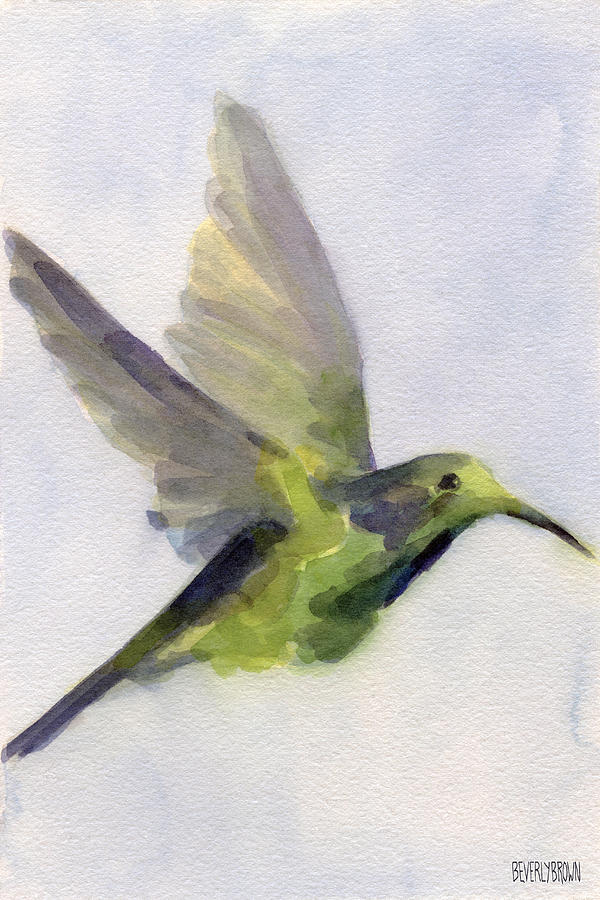 Hummingbird Painting - Hummingbird Watercolor Bird Painting by Beverly Brown