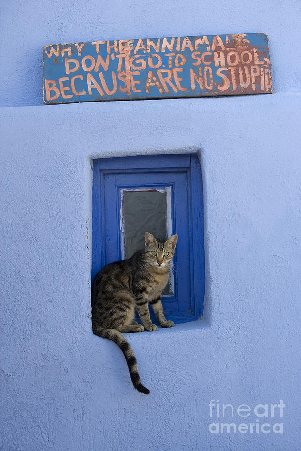 Cat Photograph - Humorous Cat Sign by Jean-Louis Klein and Marie-Luce Hubert