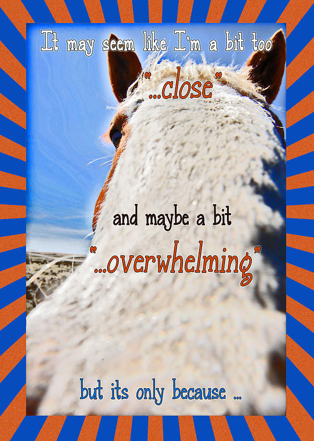 Horse Mixed Media - Humorous Funny Greeting Card by Amanda Smith