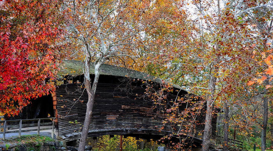Humpback Bridge In The Fall Photograph by Cathy Shiflett