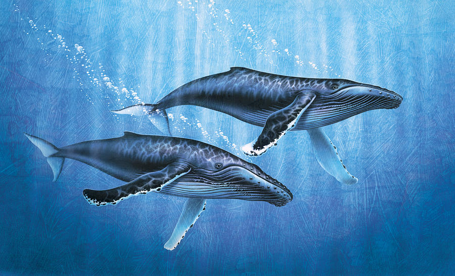 Humpback Whales Painting by JQ Licensing