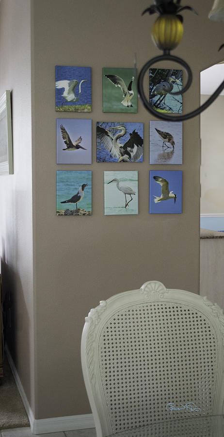 Shown Hung on Wall - Various Bird Prints Photograph by Susan Molnar