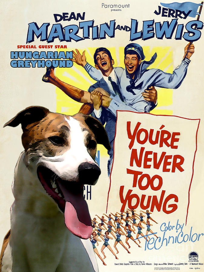 Hungarian Greyhound Art -You never too Young Movie Poster Painting by Sandra Sij