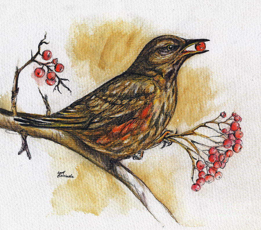 Hungry Thrush Painting by Ang El