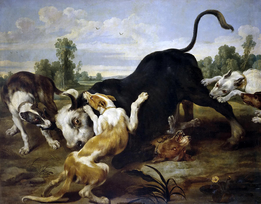 Hunted bull Painting by Paul de Vos